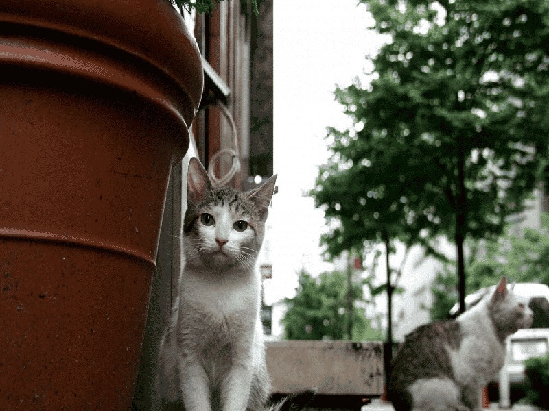 试管打针护理诀窍赤峰试管移植医院试管水开始结婚
